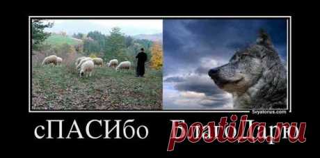 Почему нужно говорить &quot;благодарю&quot;, а не &quot;спасибо&quot; | Славянский Базар | Группы Мой Мир