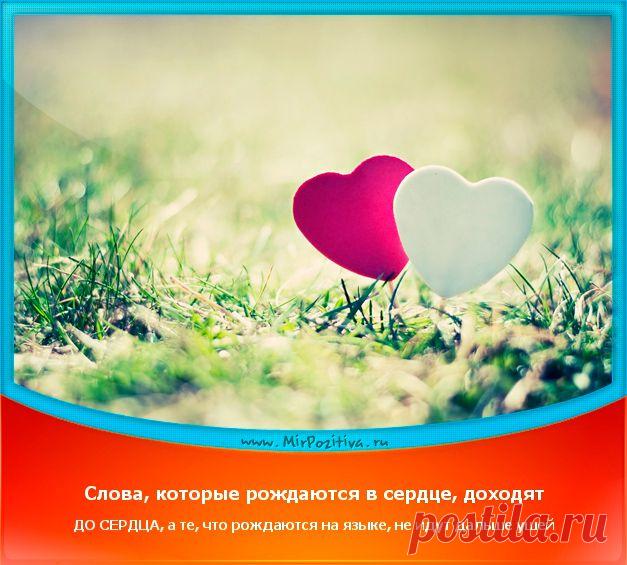 Позитивчики Недели (смотреть фото)