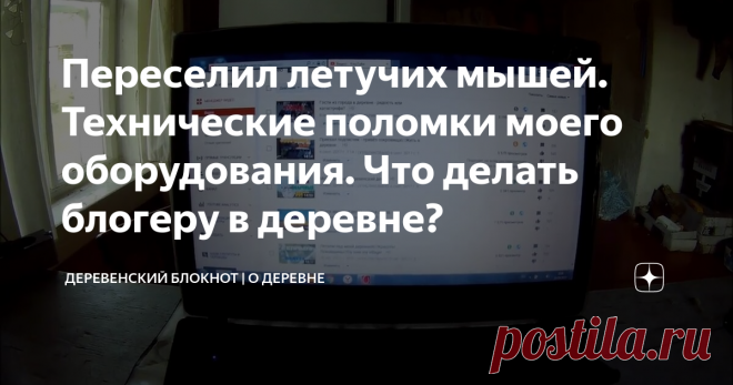Переселил летучих мышей. Технические поломки моего оборудования. Что делать блогеру в деревне?