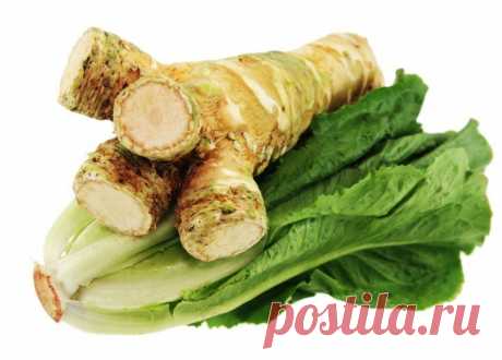 Хрен — не хуже имбиря ! 

* Хрен употребляют в качестве приправы к пище и используют для растираний (в виде кашицы) при радикулитах, миозитах, посттравматических болях. Можно листья хрена просто прикладывать к больным участкам, накрыв теплой тканью на 20 минут. 

* Хрен улучшает деятельность кишечника, для чего рекомендуют принимать его до еды в тертом виде по 1 ч. ложке с сахаром или медом. 
Показать полностью…