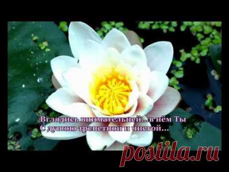 Плейкаст «С днем рождения... (женщине)»