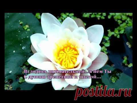 Плейкаст «С днем рождения... (женщине)»