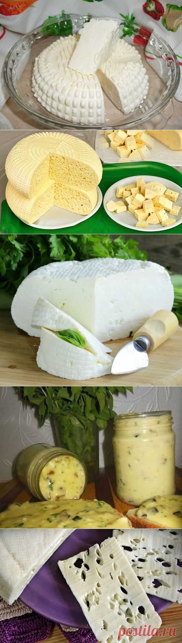 Рецепри домашнього сиру.
