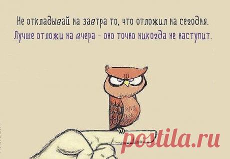 1. Закон Стива Тейлора: Порядок ваших действий сильно влияет на эффективность.
Не надо заниматься рутинной работой, если в этот момент чувствуете прилив сил, бодрости и огромное желание творить. Сразу приступайте к своим большим проектам и делайте, делайте, делайте.
И напротив, когда твоя энергия на исходе - попробуй заняться нудным и неинтересным перекладыванием стопок бумаг, интернет-серфингом и другими монотонными занятиями.
2. Закон стагнации: При получении оп