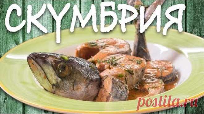 Божественная СКУМБРИЯ. От этого рецепта вы сойдете с ума!!!