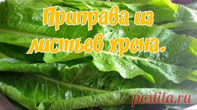 Заготовки в зиму/приправа из листьев хрена/для борьбы с вирусами.13.08.20г.