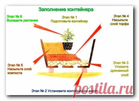 (+1) Как грамотно наполнить контейнер для высадки садовых растений на даче