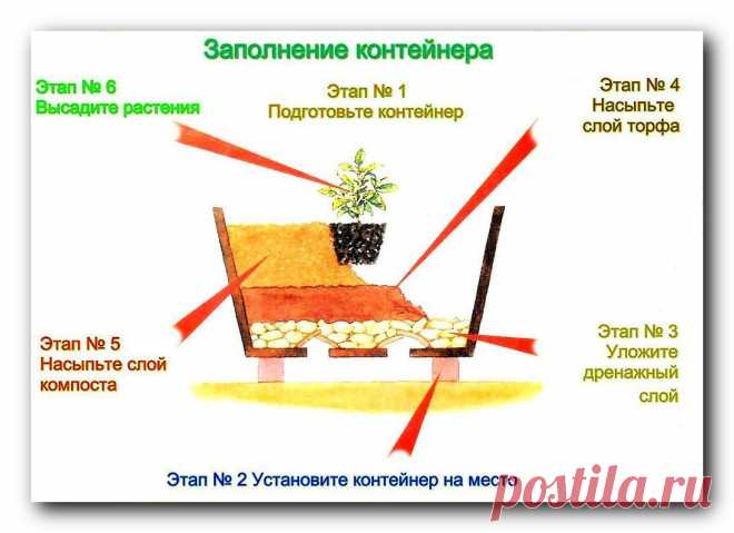 (+1) Как грамотно наполнить контейнер для высадки садовых растений на даче