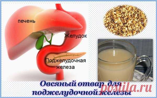 Как заваривать овес для лечения поджелудочной железы