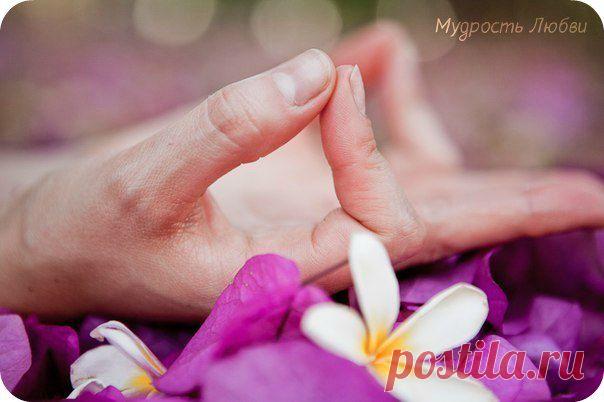 Счастье зависит от чистоты сознания, тела и ума.. | В Тебе Есть Свет!