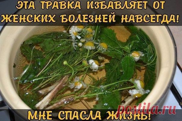 ЭТА ТРАВКА ИЗБАВЛЯЕТ ОТ ЖЕНСКИХ БОЛЕЗНЕЙ НАВСЕГДА! МНЕ СПАСЛА ЖИЗНЬ!

Женщин часто называют слабым полом, и особенно это справедливо в отношении женского здоровья - его легко и быстро можно потерять и так сложно восстановить. На начальном этапе многие недуги можно одолеть с помощью лекарственных трав.

Фитотерапия - это хорошее дополнение к лечению. Лекарственные травы восстанавливают многие функции организма и стабилизируют его состояние.
Показать полностью…