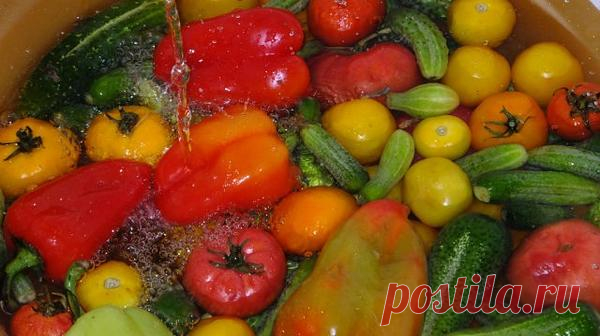 Рецепт вкусного салата на зиму