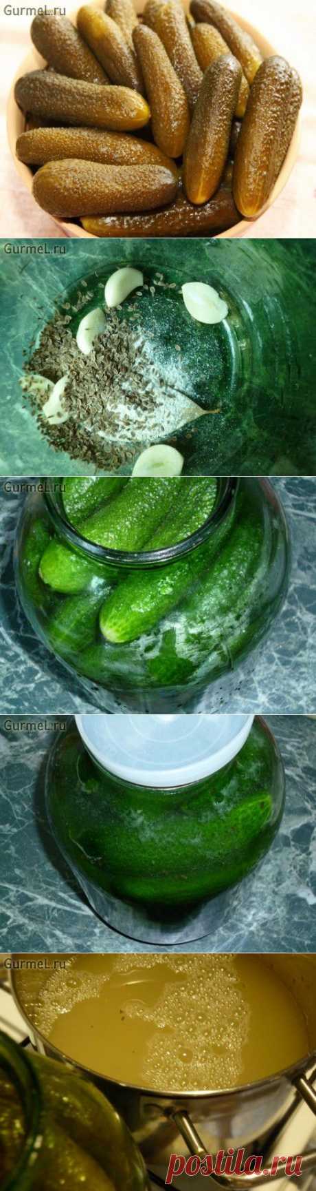 Огурцы солёные в банке (для хранения в квартире)