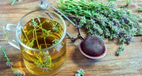 Как правильно заваривать чабрец от изматывающего кашля?