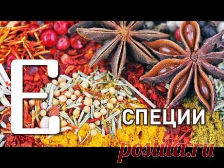Какие специи к чему подходят — секреты шефа Едим ТВ