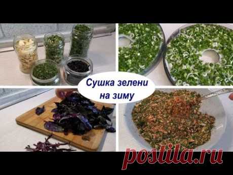 Большая сушка 2021 - зеленый лук, укроп, базилик, петрушка, чеснок. Сушеная зелень на зиму в сушилке