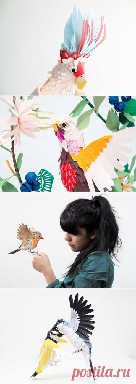Little White Whale | fly away with Diana Beltran Herrera