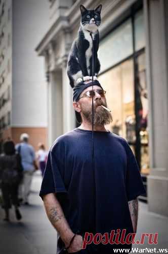 Чудеса в решете