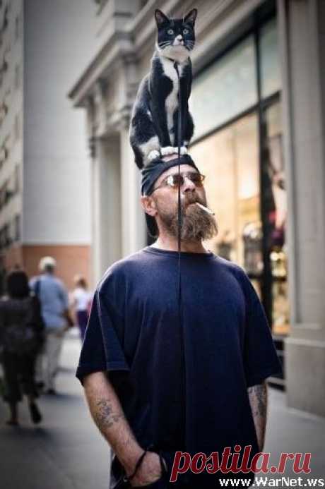 Чудеса в решете