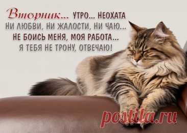 Вот и вторник подошел,
Вторник — это хорошо!
В оборот его возьмем
И приятно проведем.