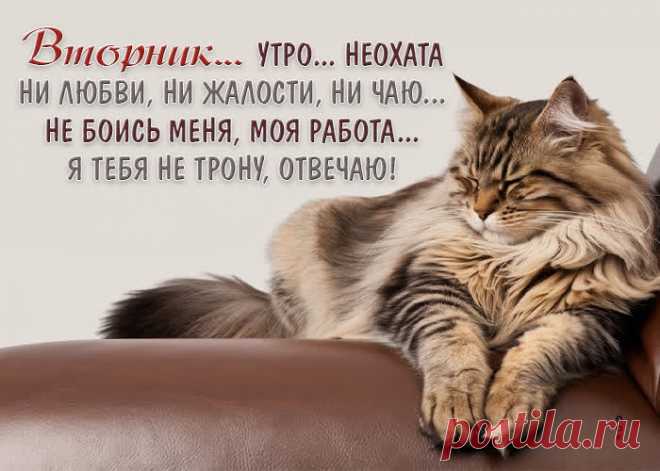 Вот и вторник подошел,
Вторник — это хорошо!
В оборот его возьмем
И приятно проведем.