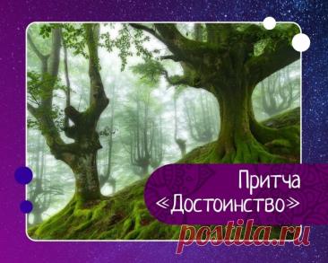 Притча: как &amp;laquo;бесполезное&amp;raquo; дерево учит достоинству и внутренней свободе