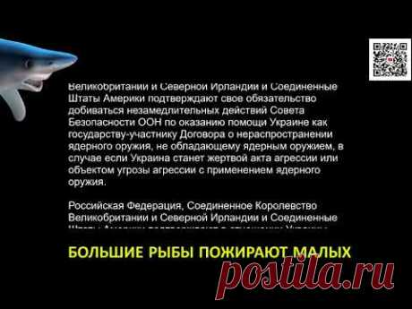 Будапештский меморандум (полный текст) 🔥 Подпишись на канал Большие рыбы пожирают малых на YouTube 👉https://www.youtube.com/channel/UCiB5ftz3kUckYVhVxje9hlw/?sub_confirmation=1✅ Помощь каналу:Но...