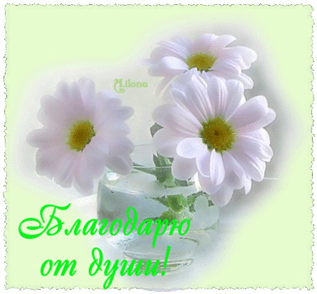 ОЖИВШИЕ КАМНИ.
