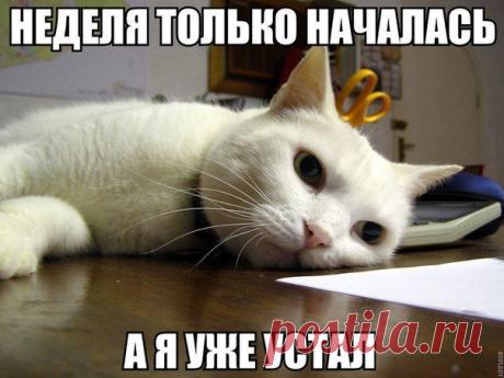 МИР ПОЗИТИВА