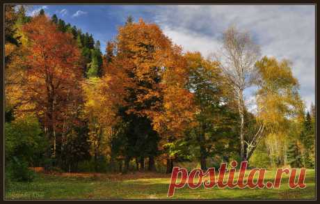 35PHOTO - Александр Круль (Туристтт) - Осеннее дефиле...