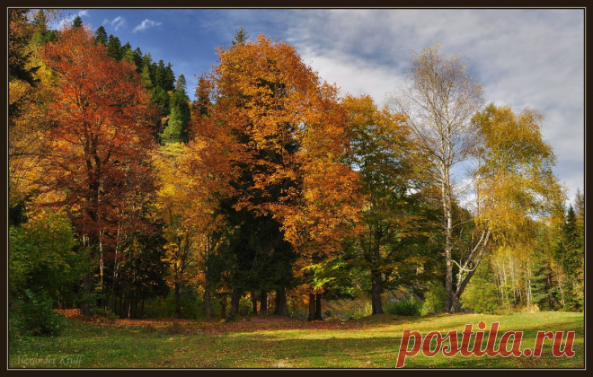 35PHOTO - Александр Круль (Туристтт) - Осеннее дефиле...