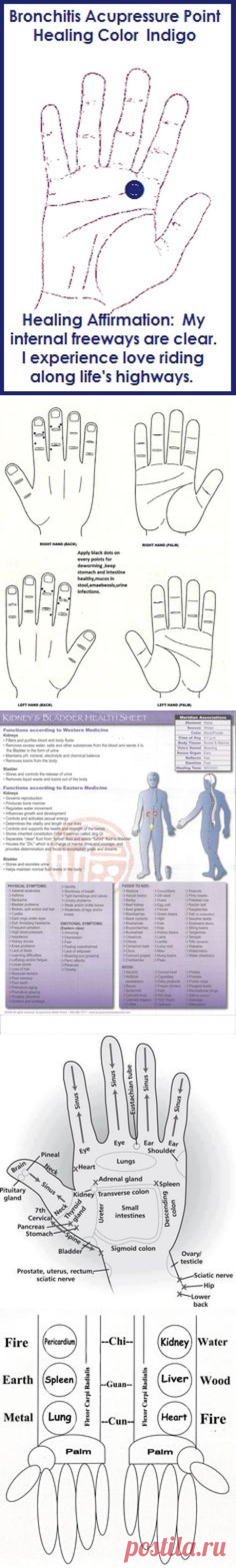 (80) Traditional Chinese Medicine в Pinterest