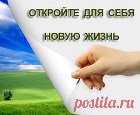 Блог Алексея Севрука. Эволюционер МЛМ