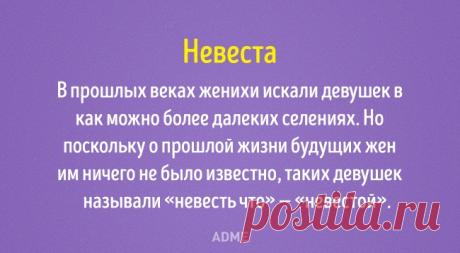 О том, как появились известные всем слова!