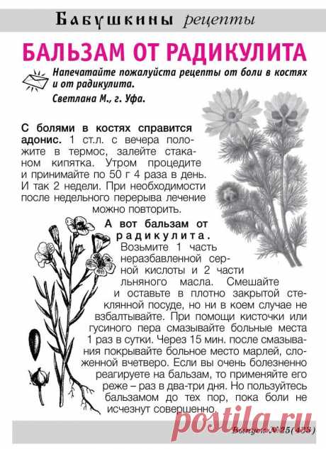 Бальзам от радикулита