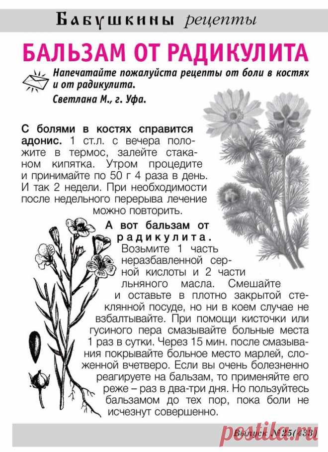 Бальзам от радикулита