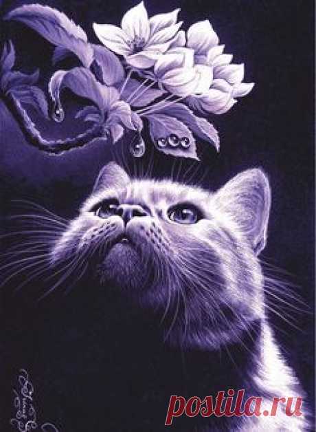 Открытки Ирины Гармашовой/ Postcards by Irina Garmashova/ Открытки для посткроссинга/ Postcards for postcrossing/ Acards.by