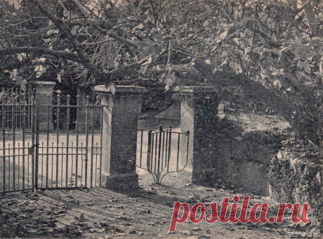 Крым-Парк в Алупке .тираж 2000 экзем.1930 год в категории "СССР" на интернет-аукционе за 200 руб. | Newmolot.ru - торговая площадка