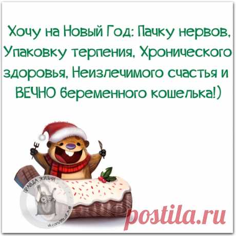 Правда Жизни | Юмор, Мотивация, Сарказм, Цитаты