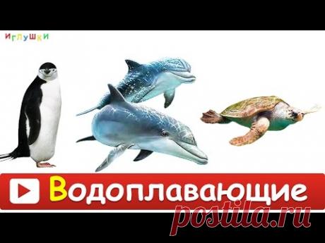 [ МОРСКИЕ ЖИВОТНЫЕ для ДЕТЕЙ ] с ГОЛОСАМИ. Развивающие ВИДЕО про морских животных для детей в HD