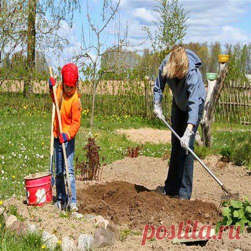 Апрельские работы в огороде | Друг пенсионера
Согреем грядки
Чем лучше прогрелась почва, тем быстрее появятся первые всходы. Чтобы ускорить процесс, накрой­те грядки черной пленкой.