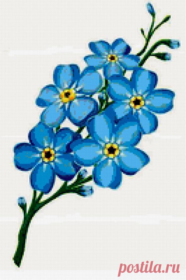 Схема цветка незабудки Всё из бисера и о бисере плетём и вышиваем. Учимся плести и вышивать бисером, уроки и техники бисероплетения, мастер классы, схемы для вышивания бисером