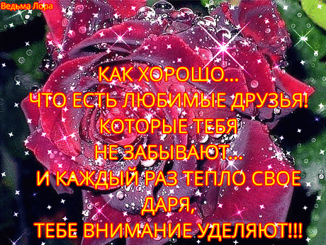 s-99112.gif (596×448)