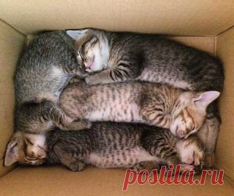Мой Мир@Mail.Ru