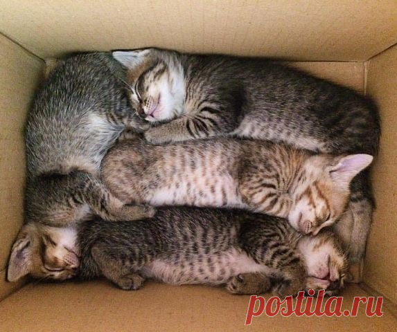 Мой Мир@Mail.Ru