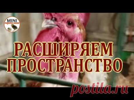 Расширение пространства курятника не уменьшая площади помещения.