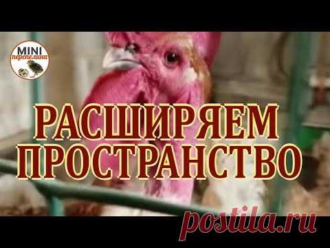 Расширение пространства курятника не уменьшая площади помещения.