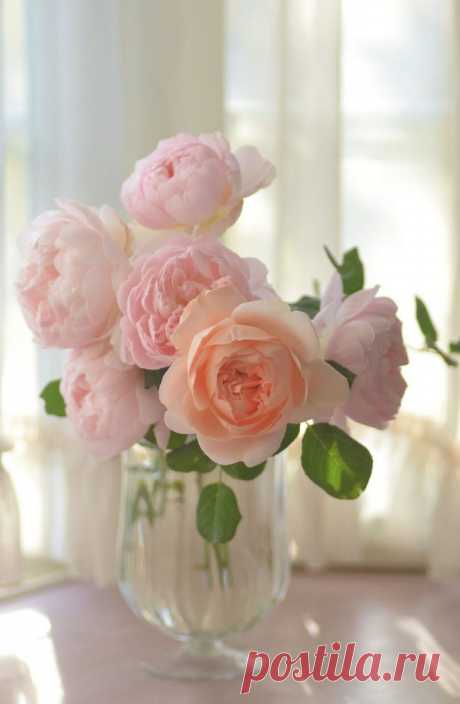 Мой Мир@Mail.Ru