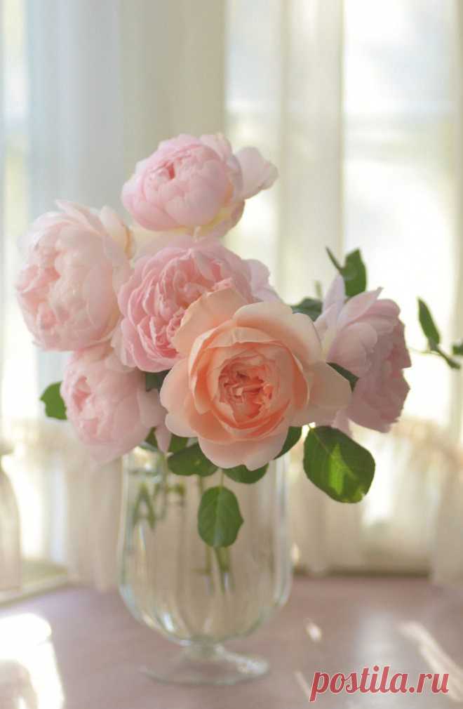 Мой Мир@Mail.Ru