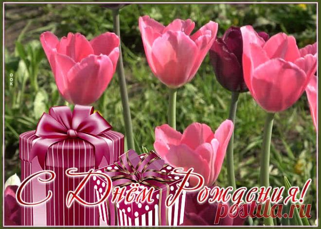 Открытка с днем рождения женщине с чудесными розовыми тюльпанами - приятное и искреннее поздравление онлайн. Открытка с днем рождения женщине с чудесными розовыми тюльпанами, скачать и отправить бесплатно.
